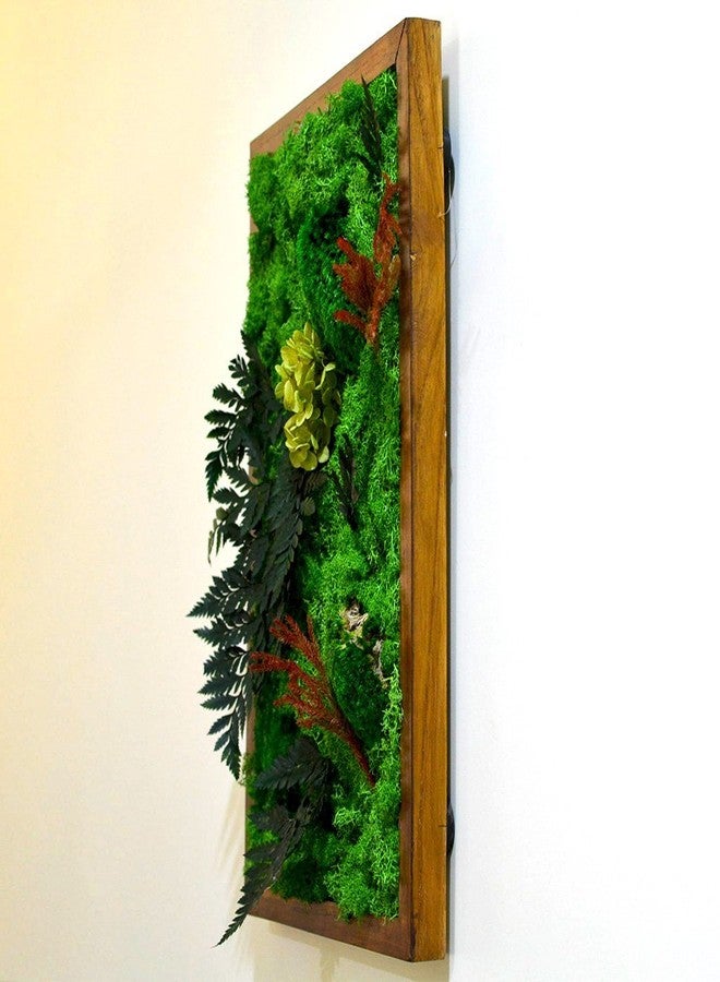 myBageecha - Fern Frenzy Preserved Real Moss Frame with Fern Flowers Home Decor Wall Art for Interior Vertical Garden Dark Brown Wooden Frame Green 18Inch x 12Inch - Image 2